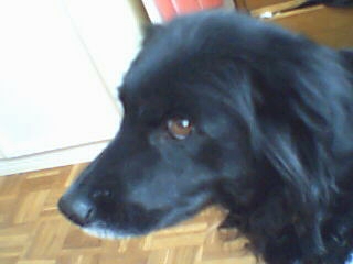 FANNY